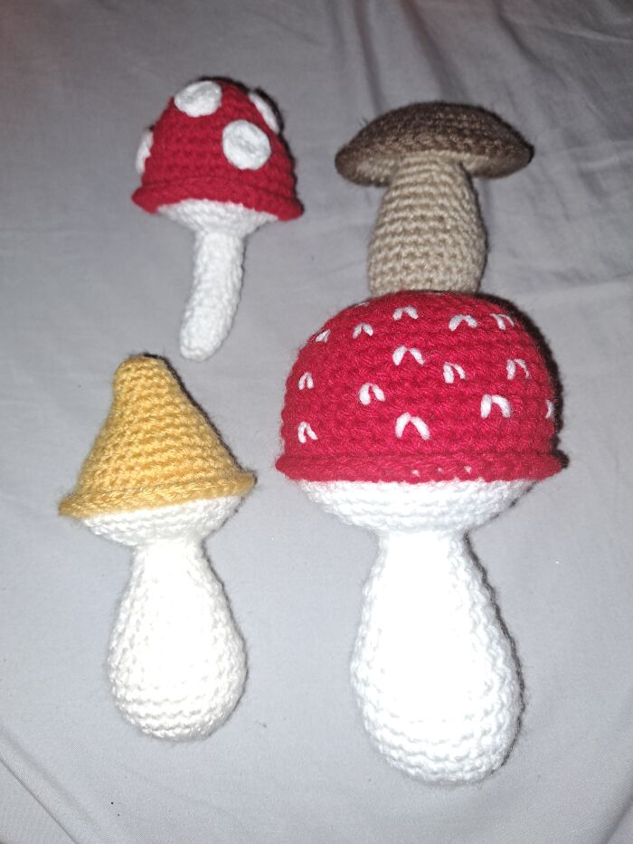 Mushroom Family! 🍄
