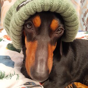 jackiemarsden280 avatar