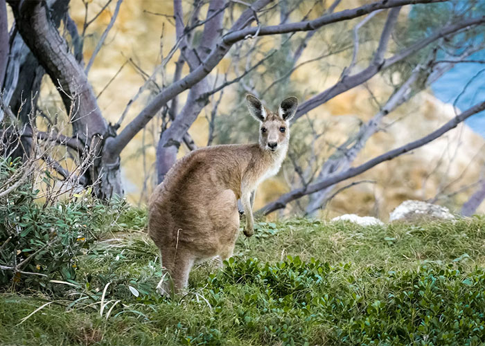 35 Annoying Myths And Conspiracies That People Really Need To Stop Believing