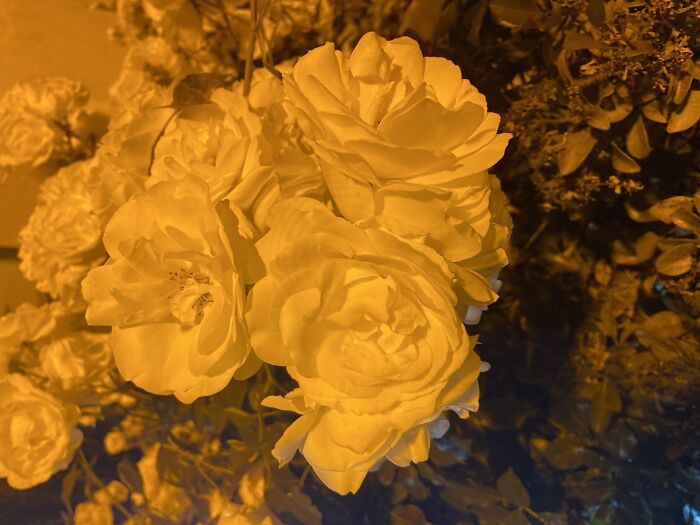 Taken At Night By A Restaurant