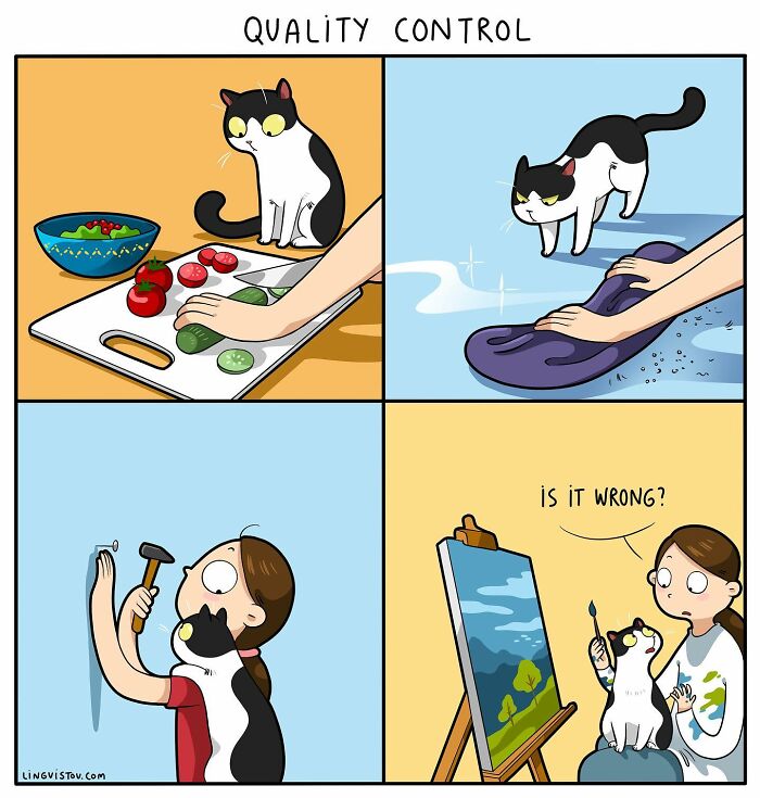 46 New Hilarious Comics About The Realistic Life Of Cat Owners