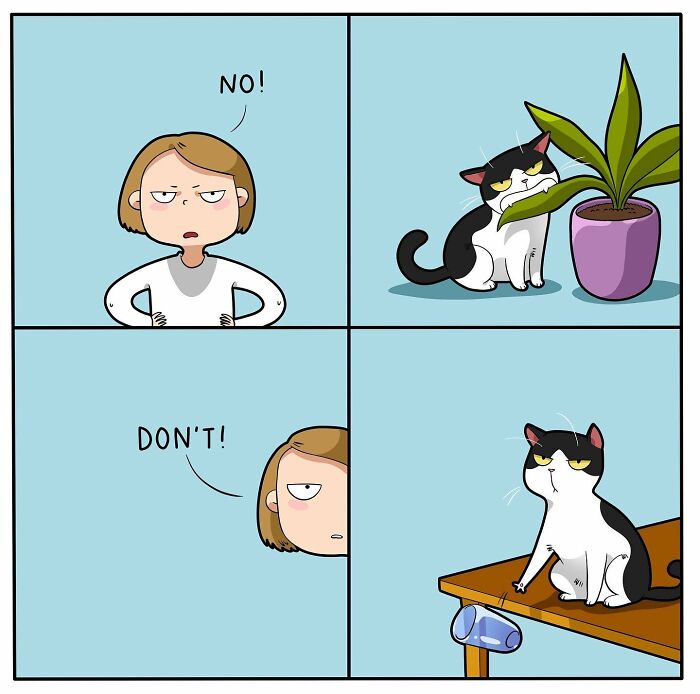 46 New Hilarious Comics About The Realistic Life Of Cat Owners