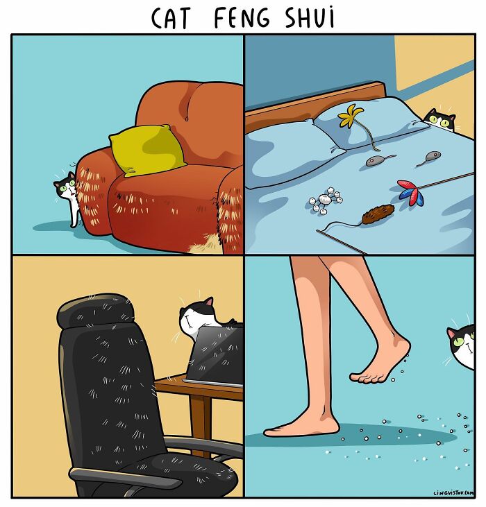 46 New Hilarious Comics About The Realistic Life Of Cat Owners
