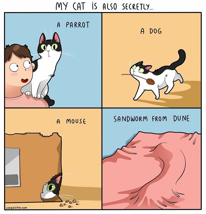 46 New Hilarious Comics About The Realistic Life Of Cat Owners