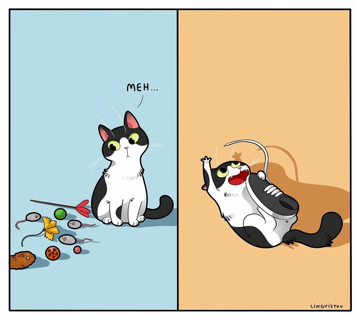 The Daily Realities Of Living With A Cat, Perfectly Captured By This Artist (40 New Pics)