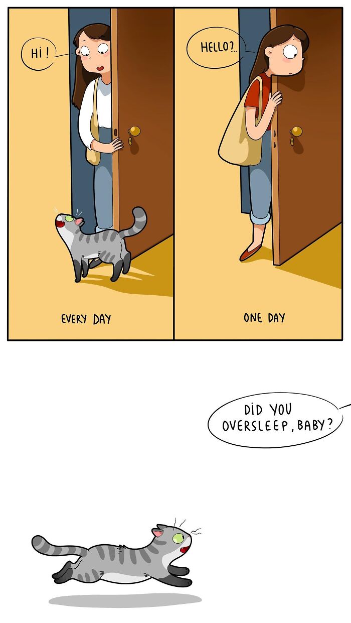 46 New Hilarious Comics About The Realistic Life Of Cat Owners