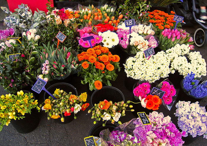 “Karen’s Face Turned From Red To White”: Woman Takes Plants From A Shop, Spots Police Car And Disappears From The Store Within Seconds “Karen’s Face Turned From Red To White”: Woman Takes Plants From A Shop, Spots Police Car And Disappears From The Store Within Seconds