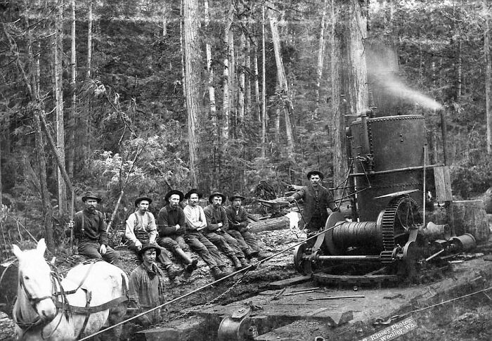 A Yarding Crew With A Donkey Engine Used For Yarding Or Gathering Logs Together After They Are Cut. Somewhere Deep In The Woods Of Washington - 1900