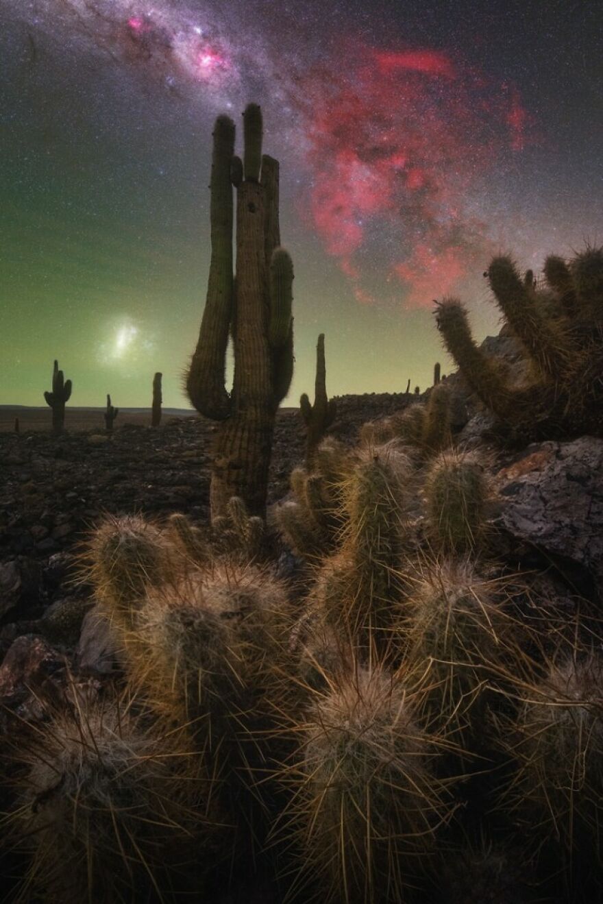“The Cactus Valley” – Pablo Ruiz García
