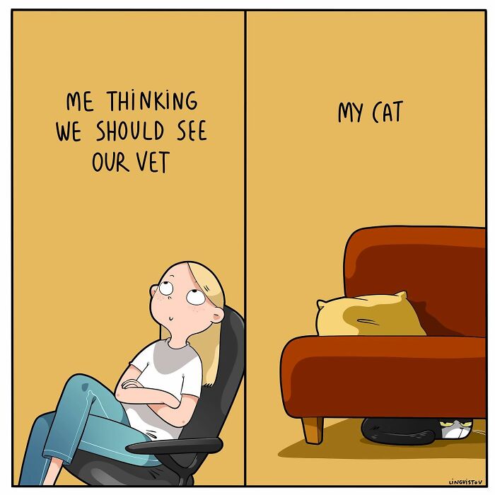 46 New Hilarious Comics About The Realistic Life Of Cat Owners