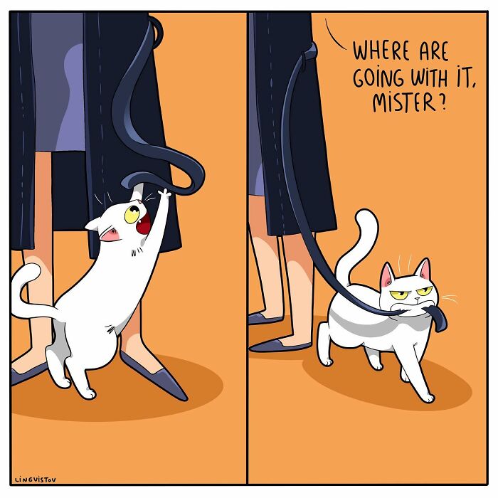 46 New Hilarious Comics About The Realistic Life Of Cat Owners