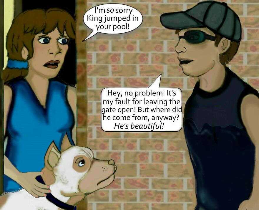 I Created An Illustrated Comic Series Called "King...": Conclusion (12 Pics)