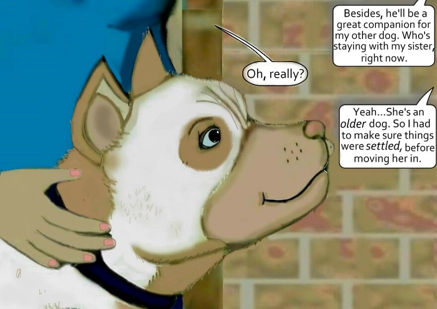 I Created An Illustrated Comic Series Called "King...": Conclusion (12 Pics)