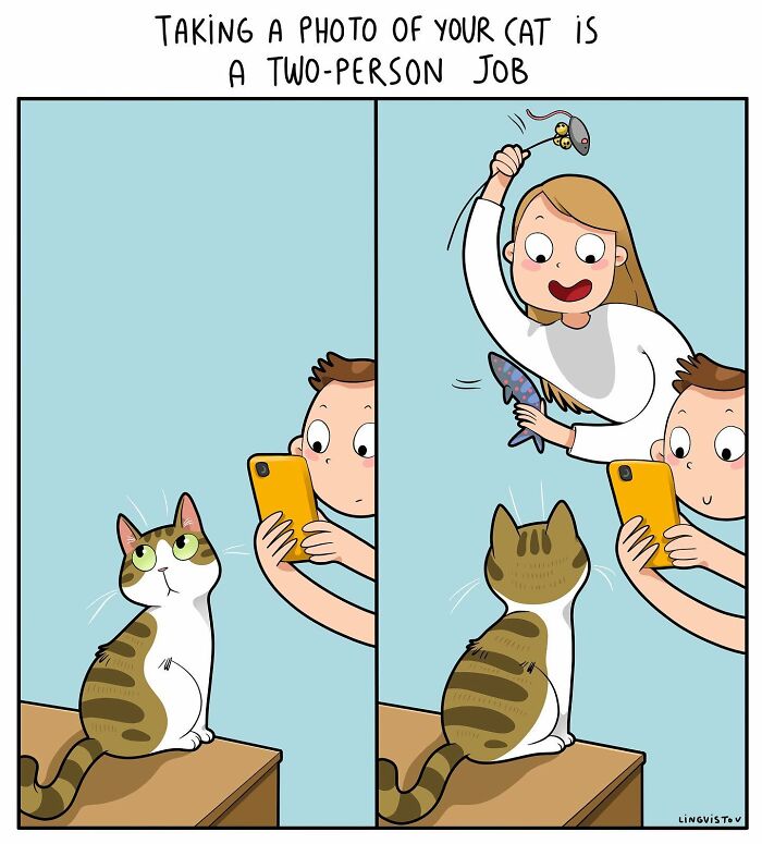 46 New Hilarious Comics About The Realistic Life Of Cat Owners