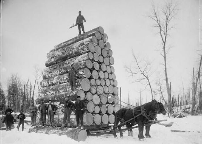 Some Lumberjacks, 1880