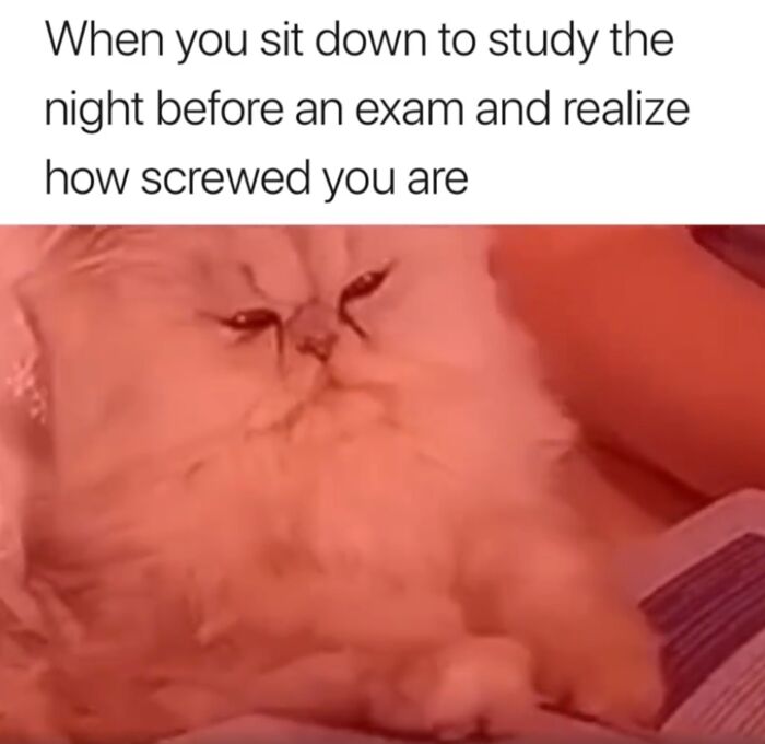 Funny-College-Memes-Humor-State-University