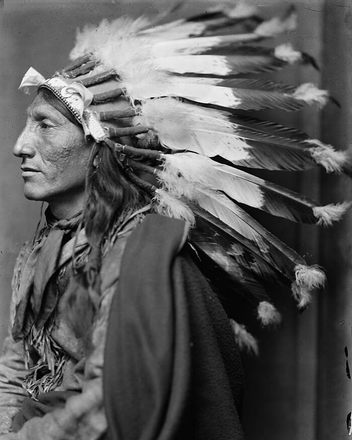 Whirling Horse, A Sioux Native American Man. Photographed By Gertrude Käsebier, C.1900