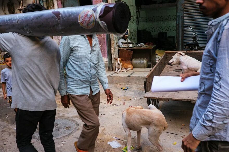 Photographer Takes To The Streets Capturing Unlikely Coincidences (53 New Pics)