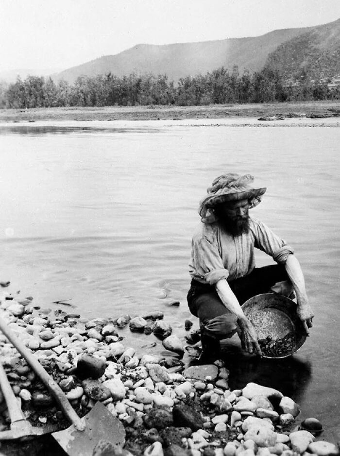 A Prospector Pans For Gold In The Yukon River During The Klondike Gold Rush Of 1896. Dawson City, Yukon Territory, Canada
