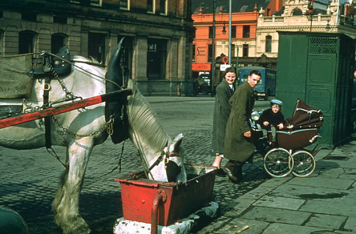 A Family Is Amused By A Horse Drinking From A Trough In Dublin