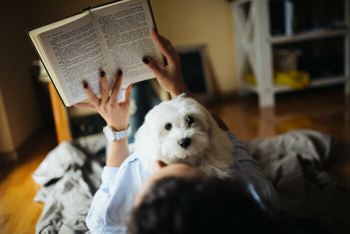 This Online Thread Has Folks Highlighting Times They Realized They Were Dating An Idiot (42 Tales)