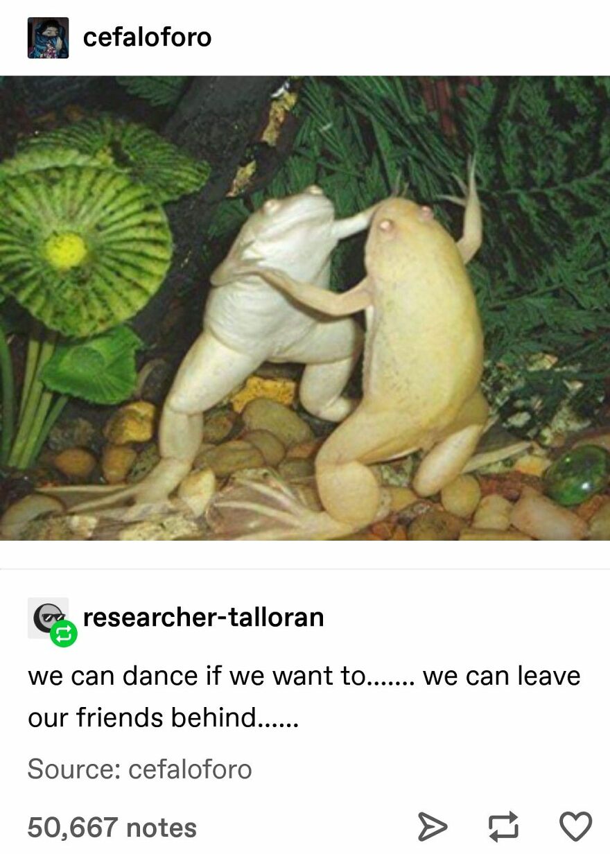 Things To Laugh At When You Are Trying To Be Serious In A Lecture Or Smthng