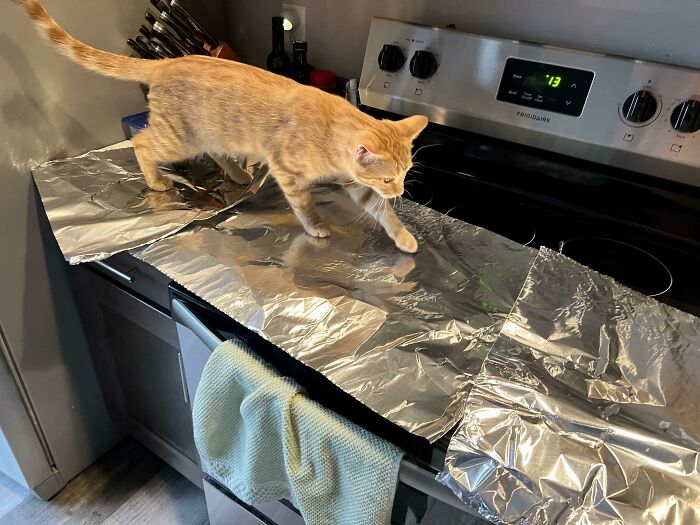 I Was Told To Try Aluminum Foil