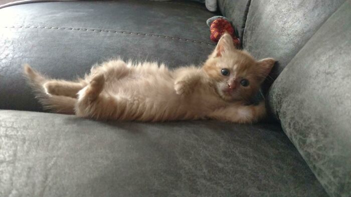 Draw Me Like One Of Your French Criminals
