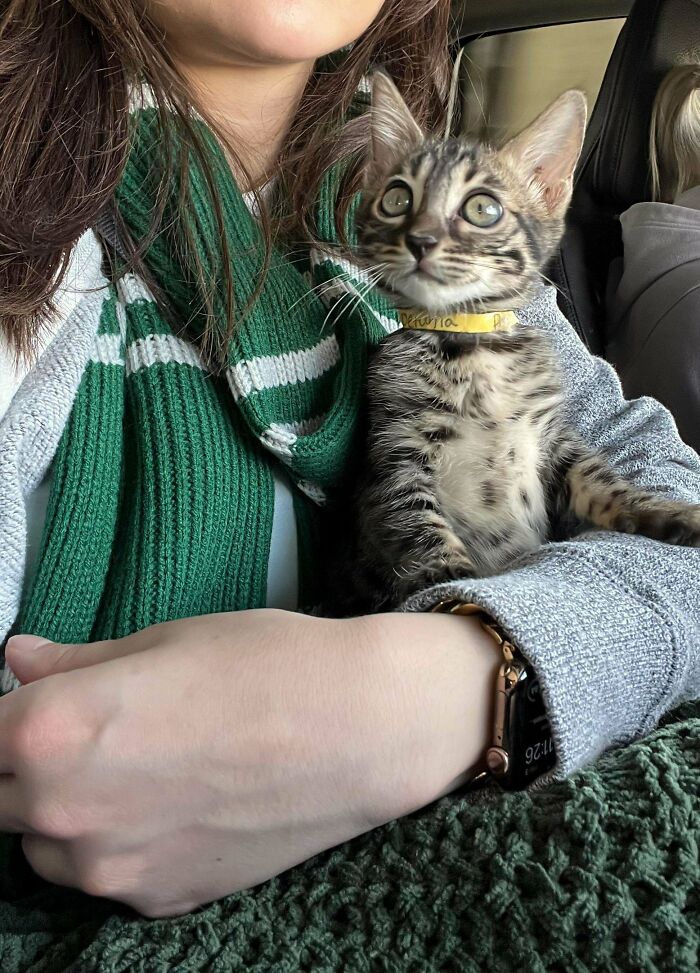 The Day We Brought Home Our Tiny Terror 🥰