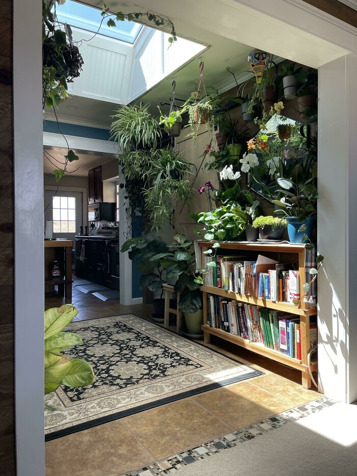 Plants hanging from the ceiling 