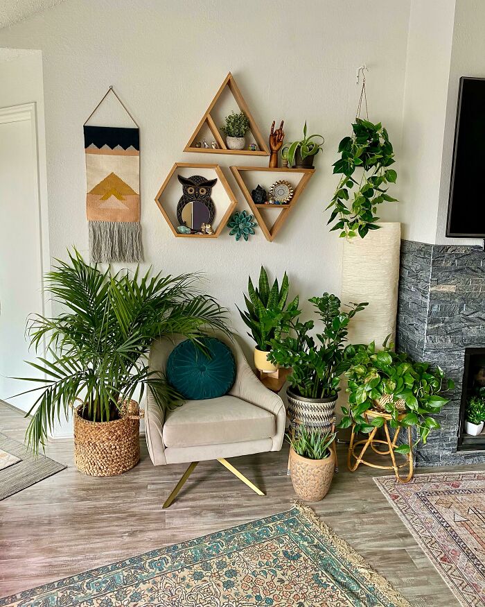 Plants next to a wall 