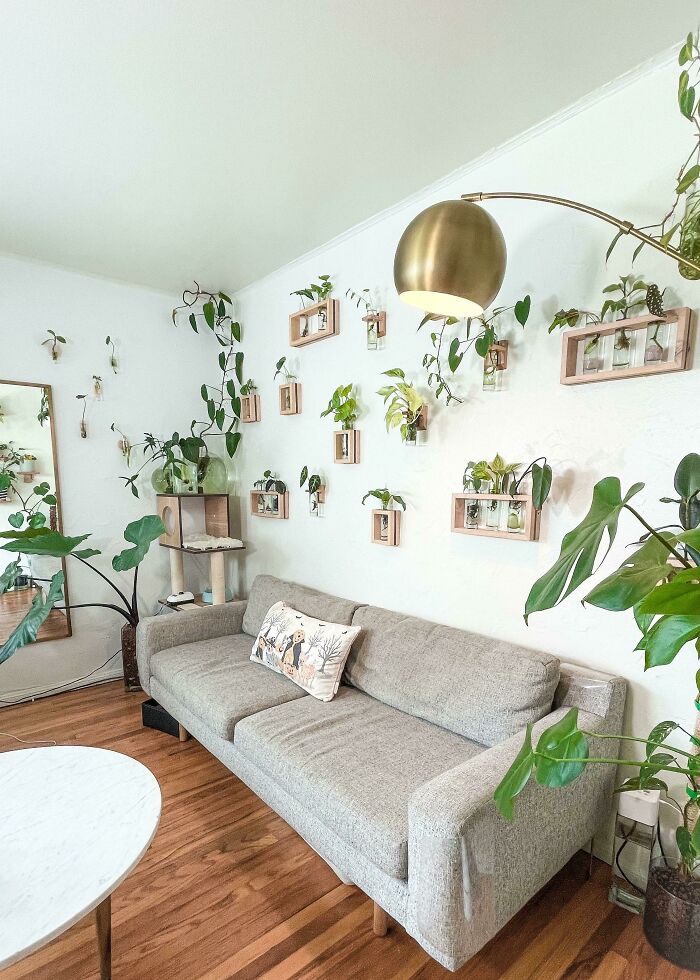 Plant wall in the living room 