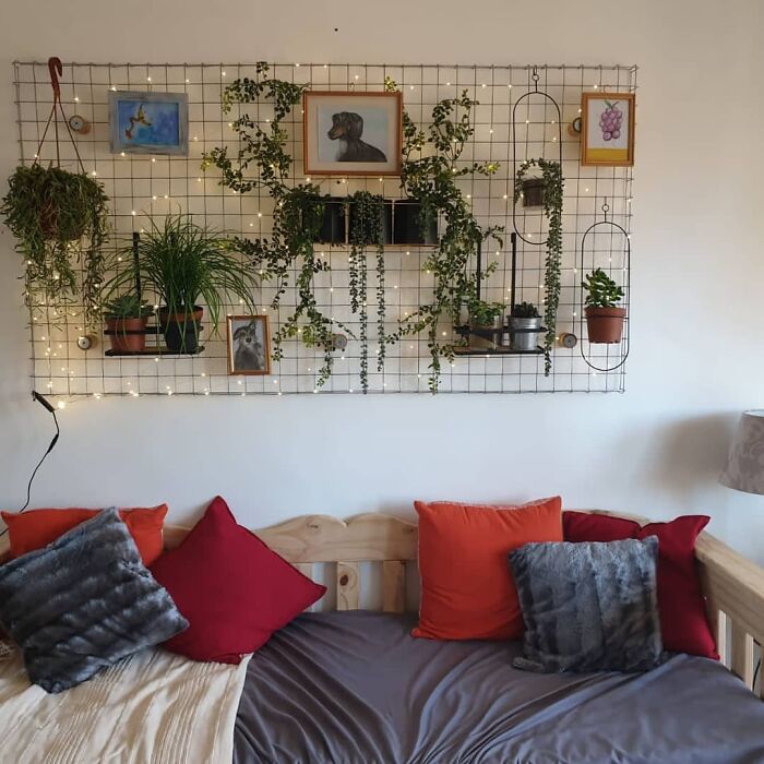 Plants and photos wall 