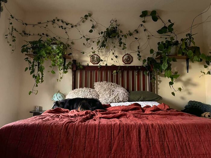 Plant wall in the bedroom 