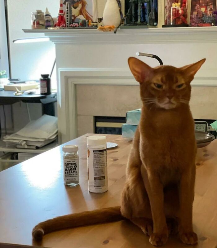 Please Enjoy This Cute Orange Juice🥤