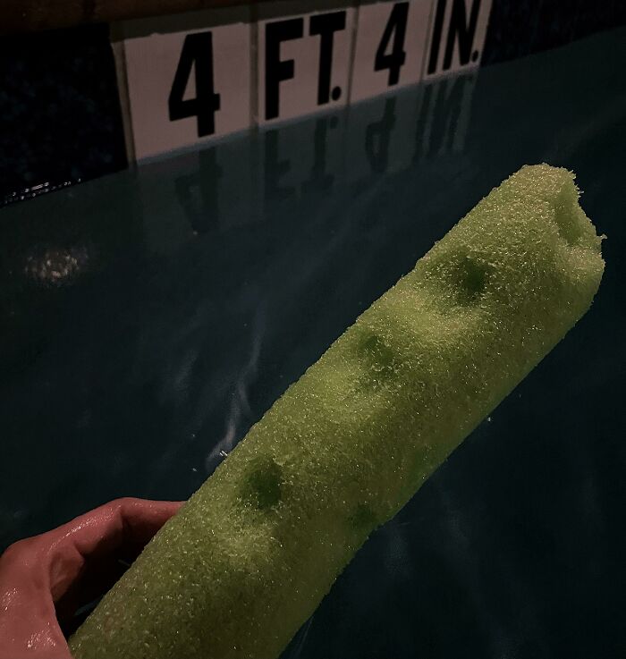 Someone Keeps Taking Bites Out Of Our Community Pool Noodle