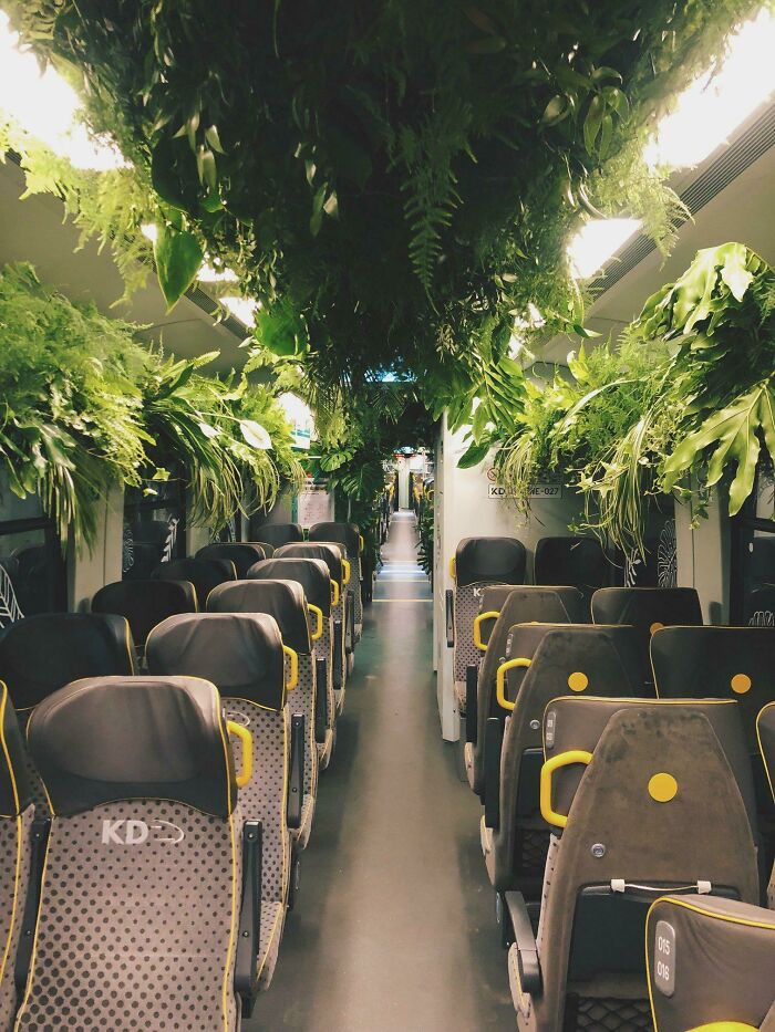 Green Train In Lower Silesia, Poland