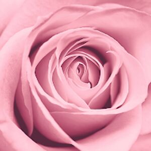 sabrinafairchild avatar