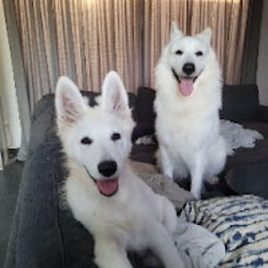 joeriottenburgs avatar