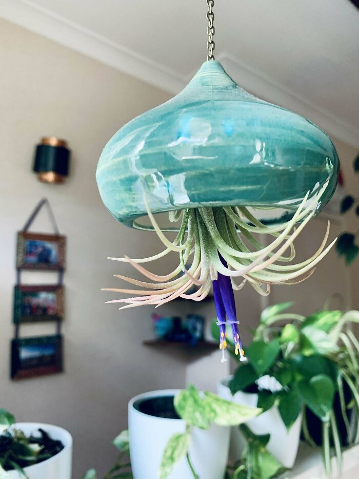 I Was Told You Folks Might Appreciate This Lil Pair. Been Told It Looks Like A Fancy Purple-Pants Yoga Woman Being Sucked Into An Alien Jellyfish!