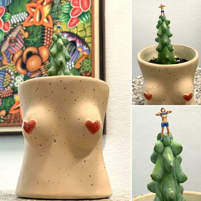 Had A Photo Shoot With My New Myrtillocactus Geometrizans Fukurokuryuzinboku, A. K. A. Titty Cactus, In Her New Home. I Knew My Tiny Flasher Would Find Her Purpose One Day And Today’s The Day!