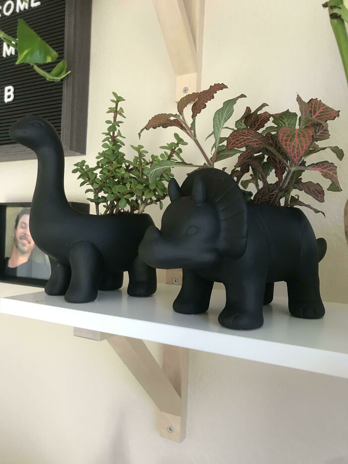 I Spray Painted My Target Dino Pots Black, And I’m Very Excited About It!