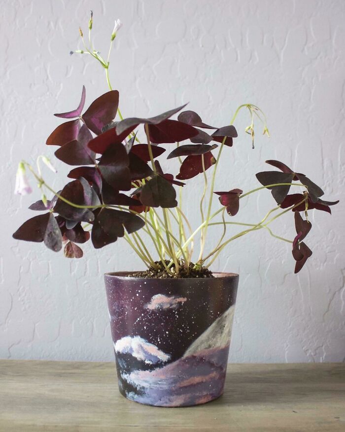 Painted A Pot For My Oxalis, I Think It Turned Out Pretty Well!
