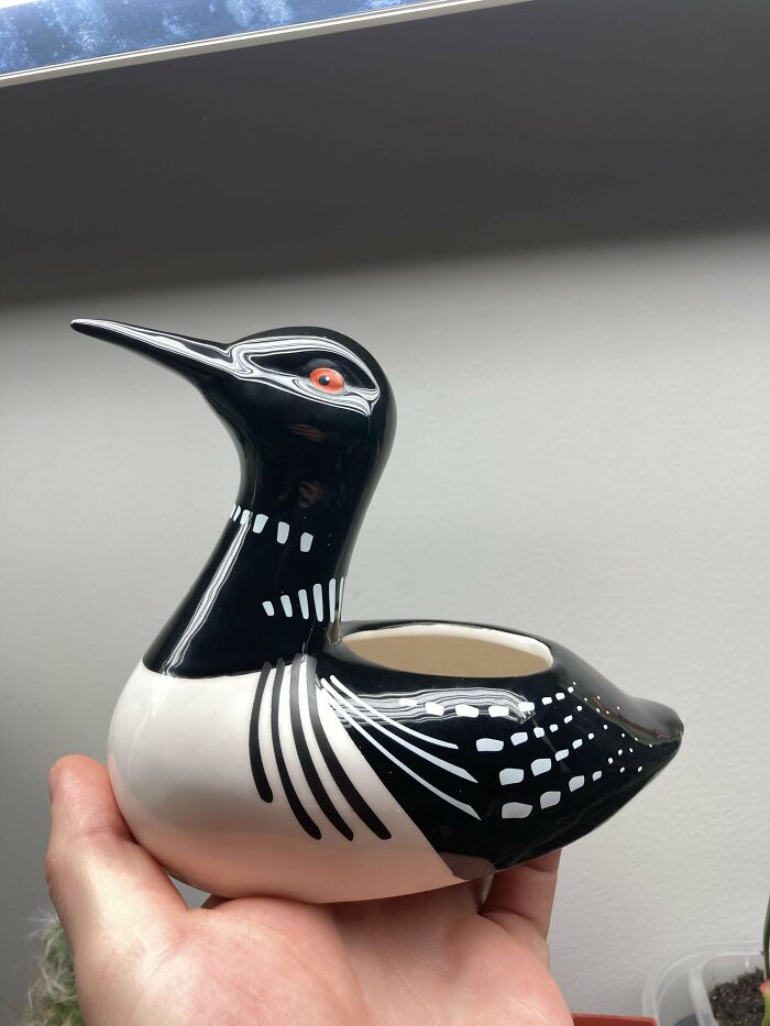 Duck Pot I Saw On Here Earlier Today Reminded About My Loon Planter