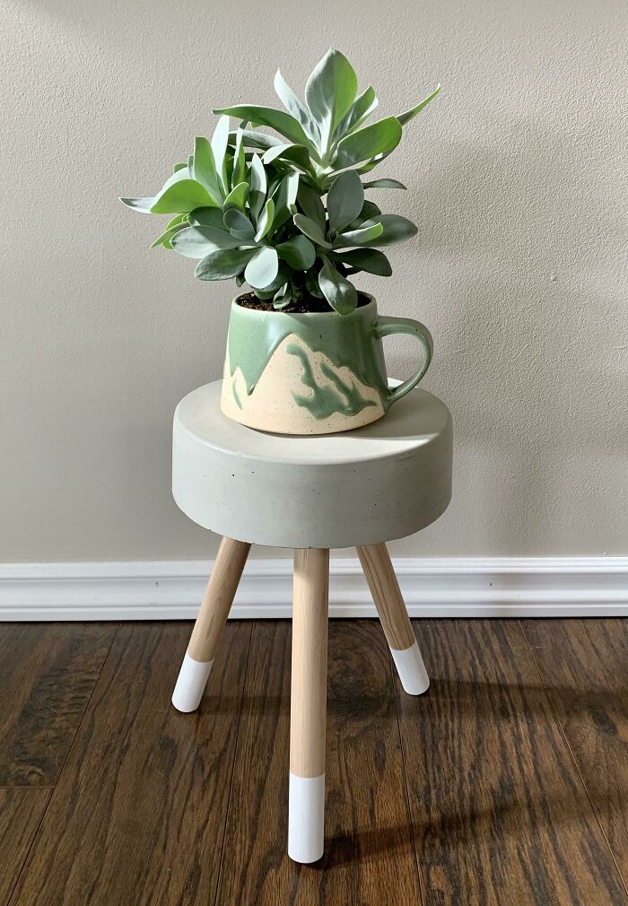This Is By Far My Favourite Plant, Pot, Stand Combo Right Now 