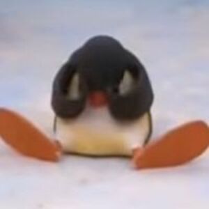 katri_piispala_1 avatar