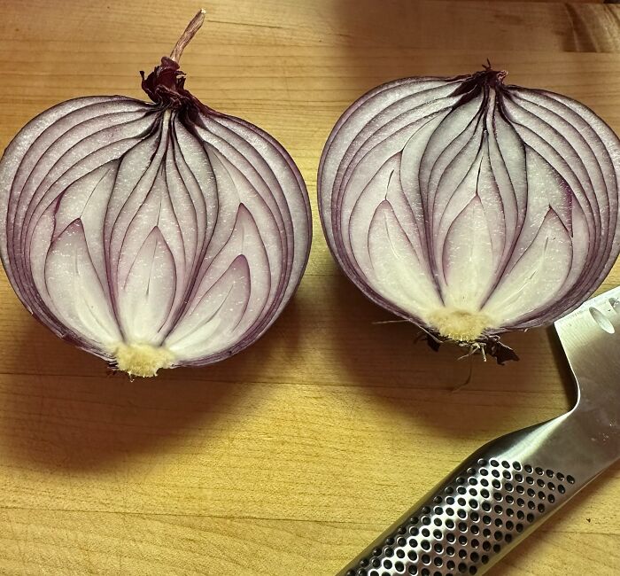 The Inside Of My Red Onion Looks Like A Lotus Flower