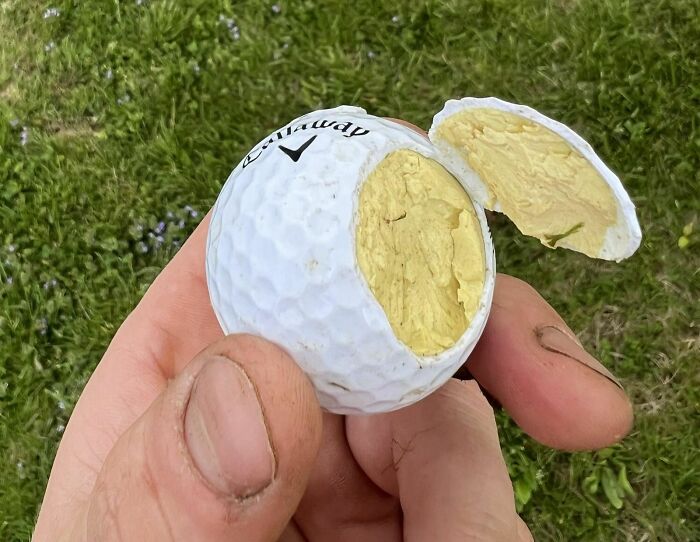El interior de esta bola de golf parece un huevo duro 