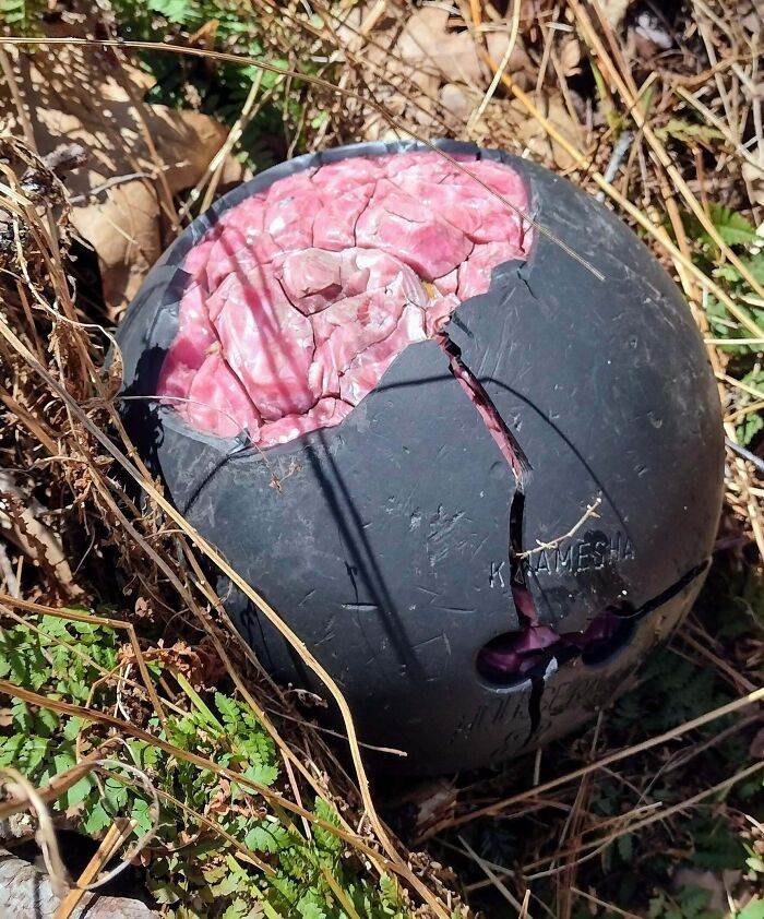 A Bowling Ball With Its Inside Exposed. I Found In The Woods