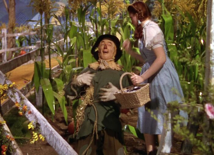 Dorothy and The Scarecrow talking 